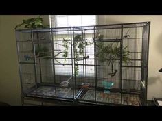 a cage with plants in it sitting on top of a desk