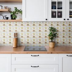 a kitchen with white cabinets and wooden counter tops, potted plants on the stove