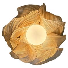 an overhead view of a light fixture with leaves on it