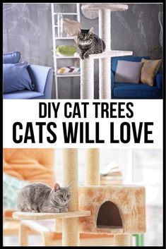 two cats sitting on top of a cat tree in front of a blue couch with the caption diy cat trees cats will love