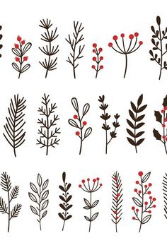 various types of plants and berries on a white background illustration by person, via flickon