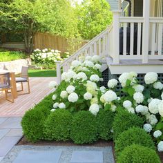 white flowers and green plants in front of a house with steps leading up to the porch