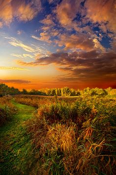 the sun is setting over an open field with tall grass and trees on either side