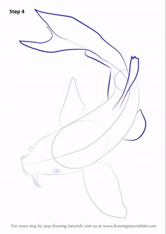 how to draw an orca whale step 4