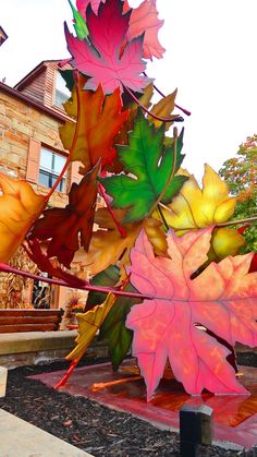 colorful autumn leaves are hanging in front of a house