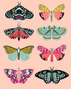 a pink background with different colored butterflies on it