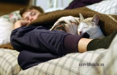 a woman laying in bed with her dog and cat