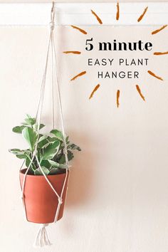 a potted plant hanging on a wall with the text 5 minute easy plant hanger