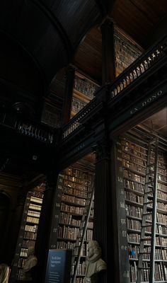 an old library with many bookshelves and statues