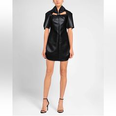 Ellery Faux-Leather Dress Size 4 Ellery Dress, Faux Leather Dress, Leather Dress, Black Silver, Faux Leather, Womens Dresses, Dresses, Leather, Black