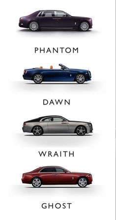 four different types of cars are shown in this graphic style, with the names above them