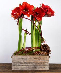 some red flowers are in a wooden box