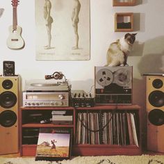 a cat is sitting on top of a stereo system in front of a poster and record player