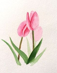 two pink flowers with green leaves on a white background, watercolor drawing by hand