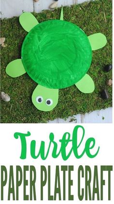 turtle paper plate craft for kids to make with grass and rocks on the ground,