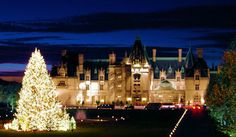 a large white christmas tree in front of a castle at night with lights on it