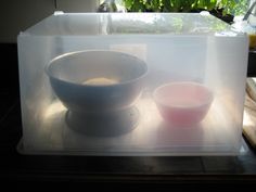 two bowls are sitting in a plastic container