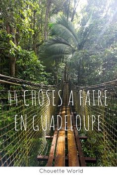 a wooden bridge in the middle of a forest with text overlay that reads, la chosse safaire en guadelope