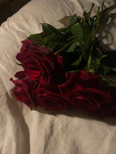 two red roses laying on top of a white sheet