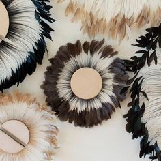 several different types of feathers are arranged on a table with a circular object in the middle