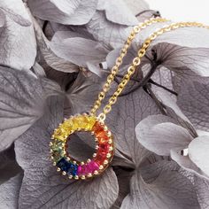 Inspiration: Circle of the rainbow represents the circle of a miracle. Material: 18k yellow gold and colored sapphires (x14) Stone Weight: 1.576 cttw Dimension: 13 x 13 mm Chain Length: 16 + 2" Total Weight: 1.6g 14k Gold Rainbow Jewelry, 14k Gold Round Rainbow Jewelry, Rainbow Colored Round 14k Gold Jewelry, Colored Sapphires, Multi Gemstone Necklace, Rainbow Ring, Gold Diamond Studs, Sister Jewelry, Mini Necklace