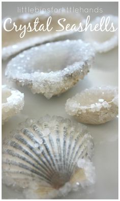 crystal seashells with text overlay that reads little bits of the hands crystal seashells