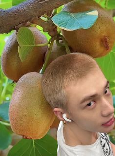 a young man standing in front of a tree with fruit hanging from it's branches