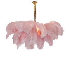 pink feathers hanging from a light fixture