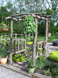 an outdoor garden with various plants and hanging baskets