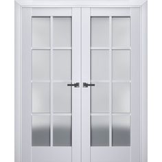 two white doors with glass panels on each side