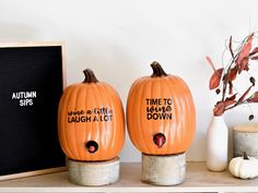 two pumpkins sitting on top of a wooden shelf