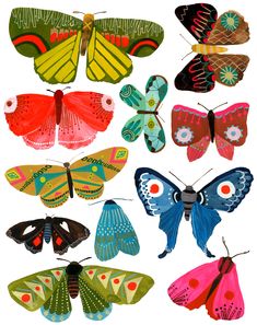 colorful butterflies are arranged on a white background