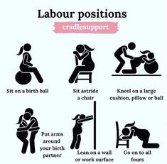 an image of labor positions for people to work on their jobs in the office or at home