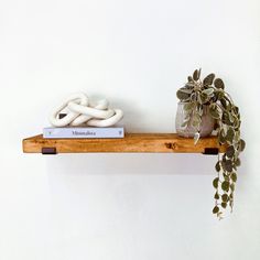 a wooden shelf topped with books and a plant