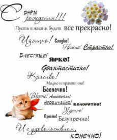 the russian language is written in different languages and has an image of a cat on it