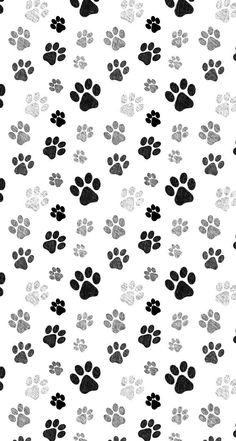 black and white dog paw prints on a white background