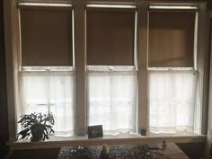 a window with three shades and a potted plant on the table in front of it