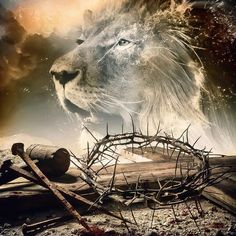 a lion with a crown of thorns on his head and nails in front of him