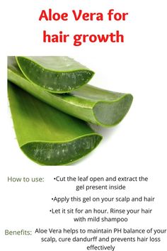 Coconut Oil Curly Hair, Oil Curly Hair, Aloe Vera For Hair Growth, Aloe And Coconut Oil, Take Care Of Curly Hair, Aloe Vera Gel For Hair, Aloe Vera Gel For Hair Growth, Gel For Hair, Diy Hair Growth