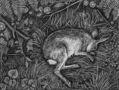 a drawing of a rabbit in the grass with ferns and leaves around it, looking for food