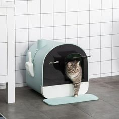 a cat in a blue and white litter box