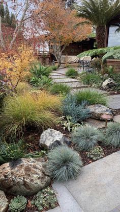 an outdoor garden with rocks and plants