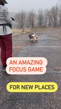 a person walking a dog on a leash with an orange sign that says, an amazing focus game for new places