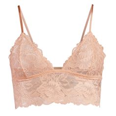 Free People Intimately Everyday Lace Longline Bra In Tuscany, Sz Xl, Nwt Free People Style, Longline Bra, Free People Intimates, Lace Bralette, Lace Fabric, Long A Line, Tuscany, Floral Lace, Pullover Styling