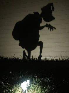 the shadow of a dog is shown in front of a fence with a light shining on it