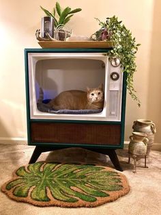 a cat laying on top of a microwave oven in a room with potted plants