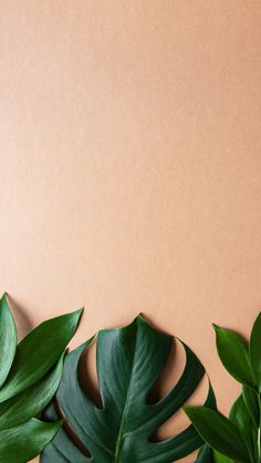 some green leaves on a brown background