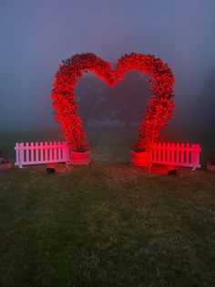 Wedding hire Olive Tree Wedding Ceremony, Olive Tree Orchard, Wedding Hire, Hope Symbol, Olive Tree, Norfolk, Wedding Season, Fairy Lights, Special Events