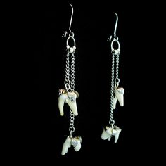 These genuine coyote tooth earrings are an elegant and classy choice for real animal bone taxidermy jewelry. The coyote's molars are surprisingly dainty and adorable little teeth. Each earring has 2 coyote molars dangling from dainty chain in an antique silver finish. These coyote teeth are adorned with a beautiful leaf patterned cap that is molded to fit each individual tooth and hangs securely from a leverback earring clasp closure. -Genuine coyote molar teeth -Antique silver finish -Leaf patt Unique Bone-colored Nickel-free Earrings, Nickel-free Bone-colored Dangle Earrings, Nickel-free Bone Dangle Earrings, Nickel Free Bone Color Dangle Earrings, Unique Bone-colored Sterling Silver Jewelry, Unique Bone Colored Sterling Silver Jewelry, Handmade Sterling Silver Jewelry In Bone Color, Bone Taxidermy, Animal Bone Jewelry