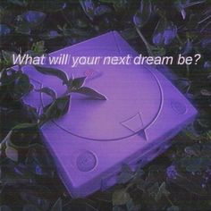 a purple box with a plant growing out of it that says, what will your next dream be?